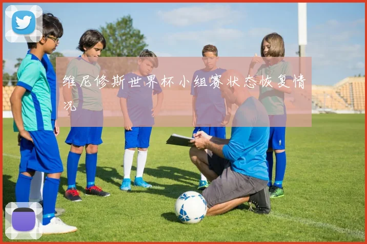 维尼修斯世界杯小组赛状态恢复情况