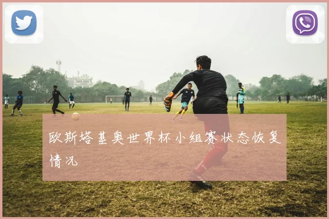 欧斯塔基奥世界杯小组赛状态恢复情况