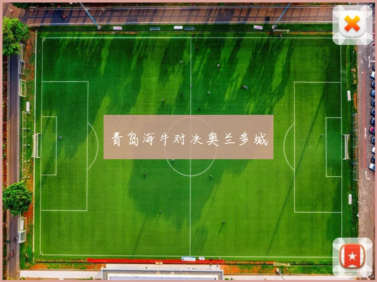青岛海牛对决奥兰多城