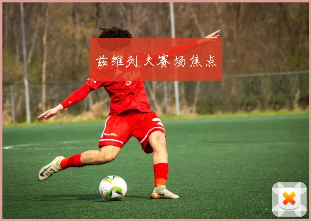 兹维列夫赛场焦点