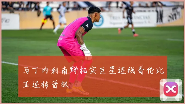 马丁内利南野拓实巨星连线哥伦比亚逆转晋级