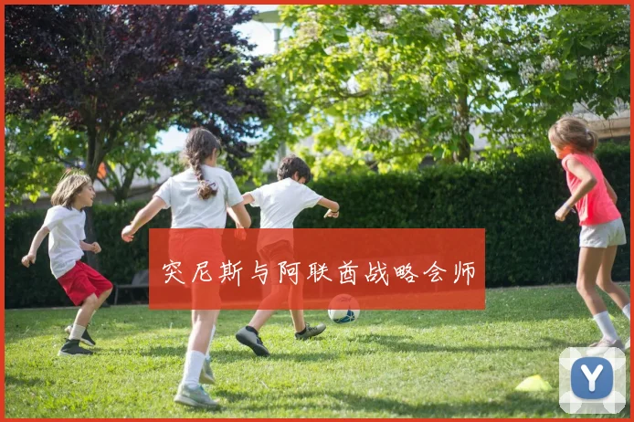 突尼斯与阿联酋战略会师