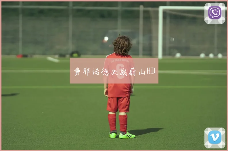 费耶诺德决战蔚山HD