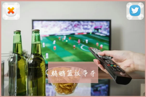鹈鹕篮板争夺