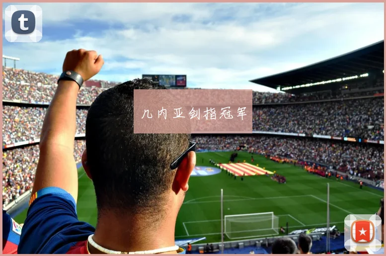 几内亚剑指冠军