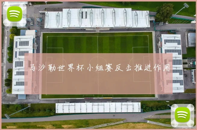 马沙勒世界杯小组赛反击推进作用