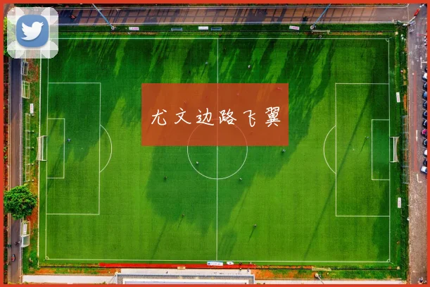 尤文边路飞翼