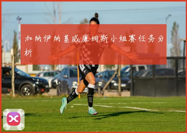 加纳伊纳基威廉姆斯小组赛任务分析