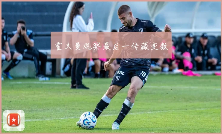 霍夫曼观察最后一传藏变数