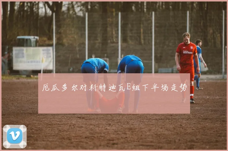 厄瓜多尔对科特迪瓦E组下半场走势