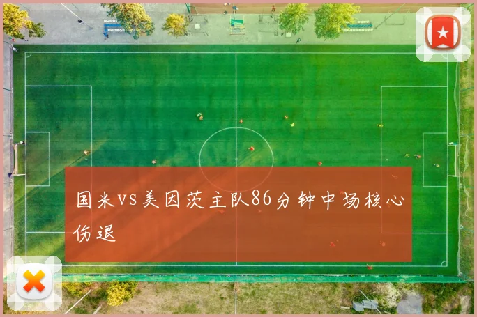 国米vs美因茨主队86分钟中场核心伤退