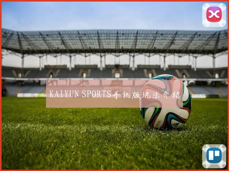KAIYUN SPORTS手机版玩法介绍