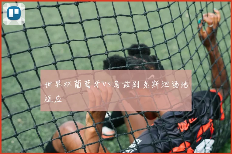 世界杯葡萄牙vs乌兹别克斯坦场地适应