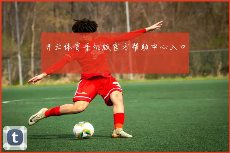 开云体育手机版官方帮助中心入口