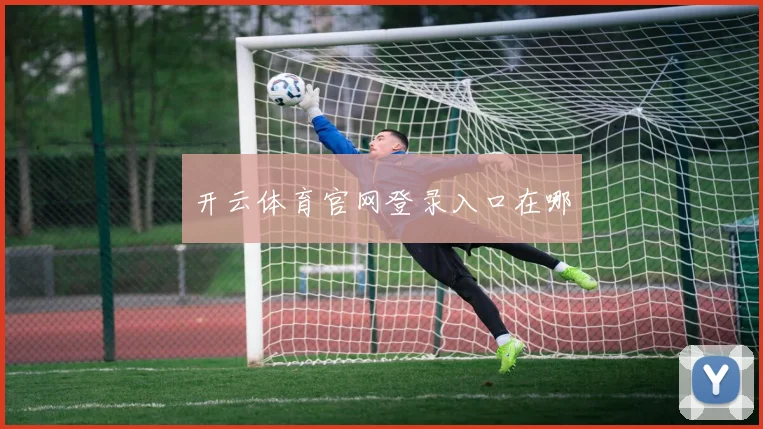开云体育官网登录入口在哪