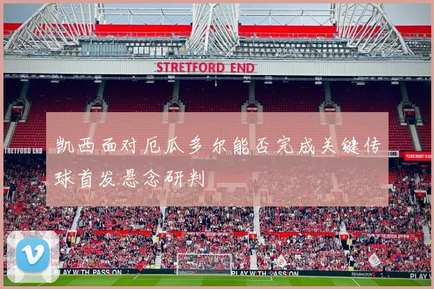 凯西面对厄瓜多尔能否完成关键传球首发悬念研判